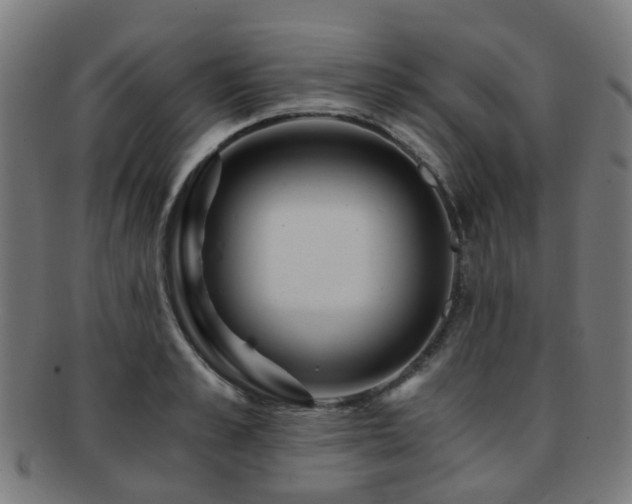 X0000091900989200709051359