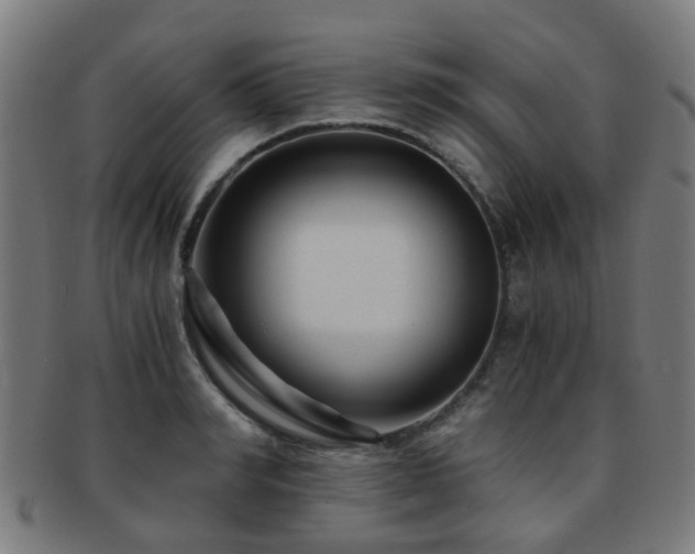 X0000091900990200709051359