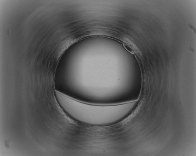 X0000091900993200709051359