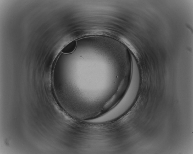 X0000091900994200709051359