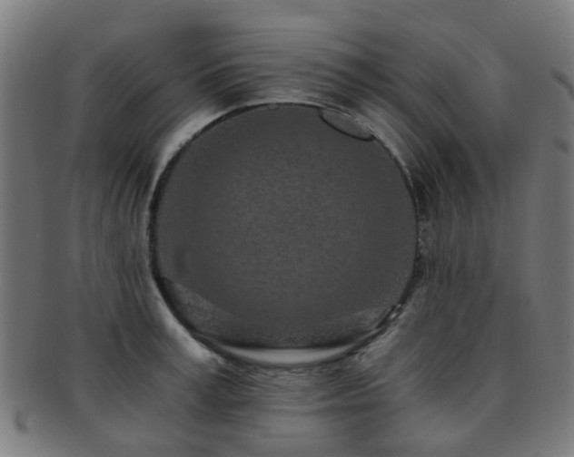 X0000091900995200709051359