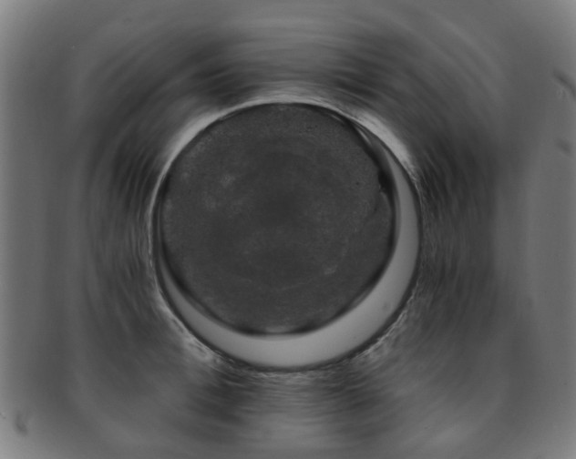 X0000091900996200709051359