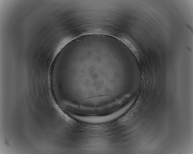 X0000091900998200709051359
