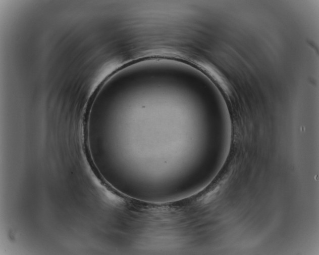 X0000091900999200709051359
