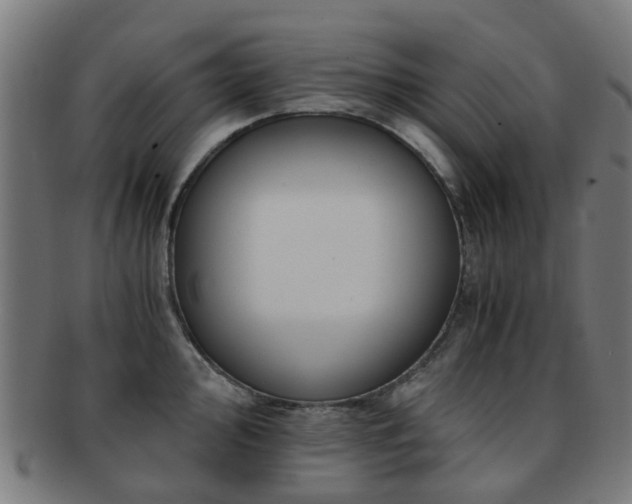 X0000091901000200709051359