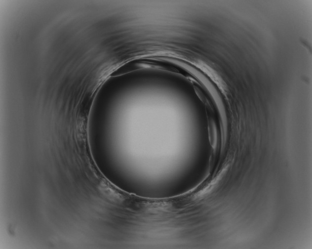 X0000091901001200709051359