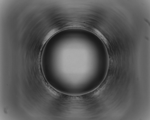 X0000091901002200709051359