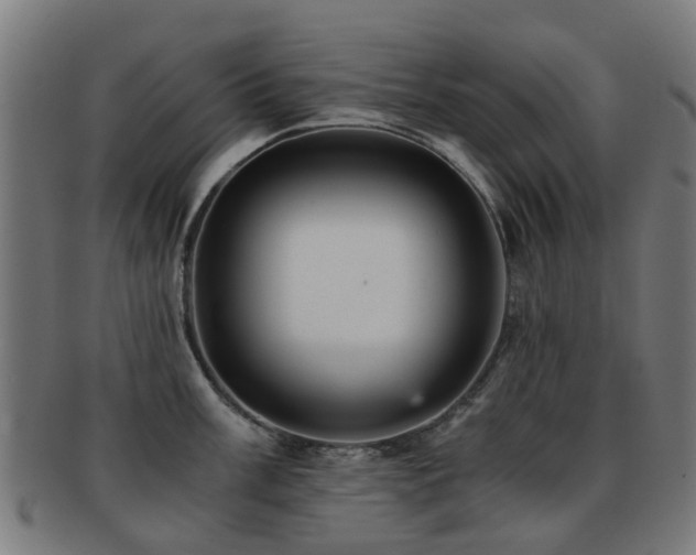 X0000091901003200709051359