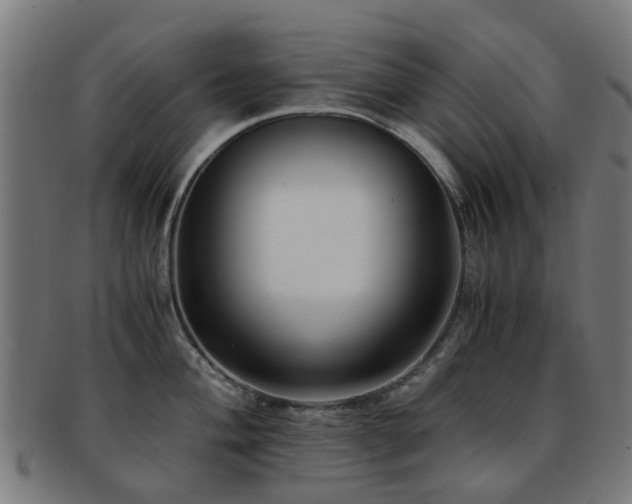 X0000091901004200709051359