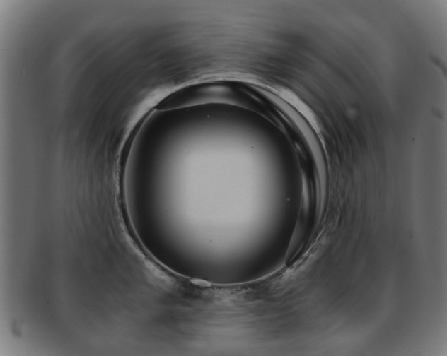X0000091901005200709051359