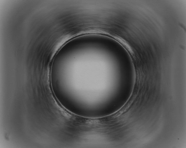 X0000091901006200709051359