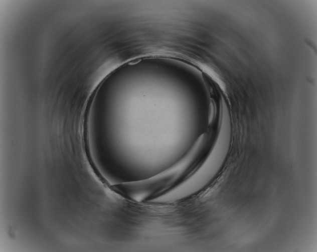 X0000091901007200709051359