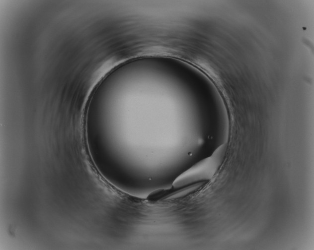 X0000091901008200709051359