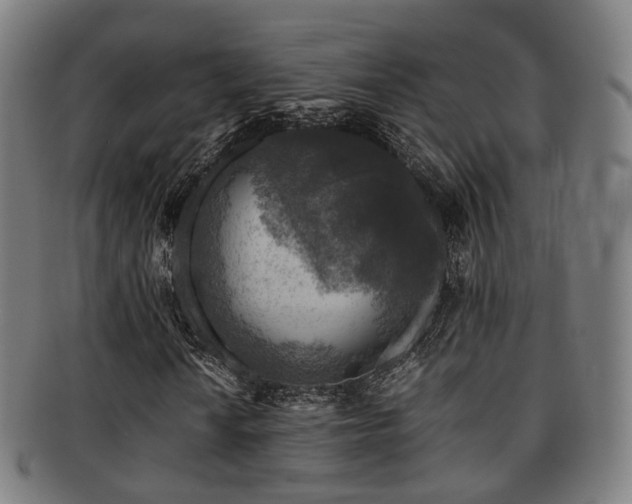 X0000091901010200709051359