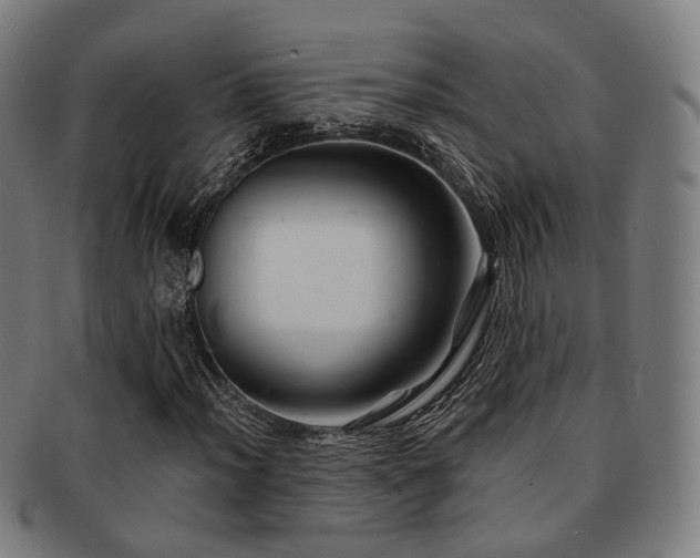 X0000091901012200709051359