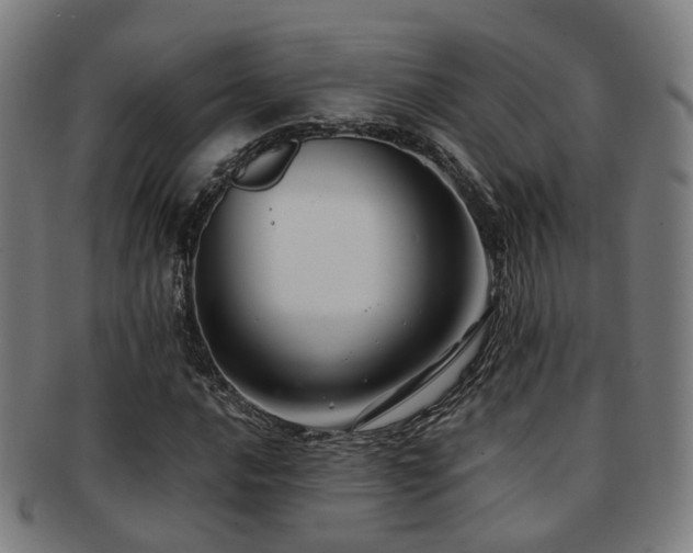 X0000091901016200709051359