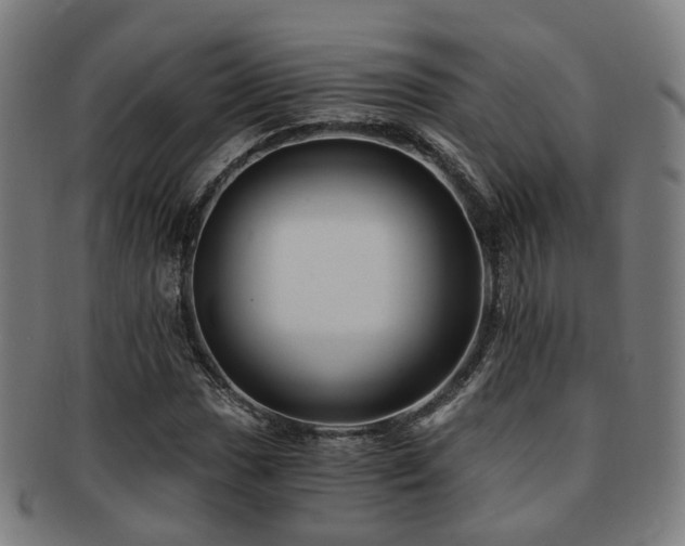 X0000091901017200709051359