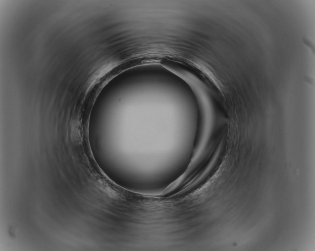 X0000091901018200709051359