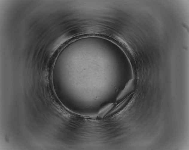 X0000091901019200709051359