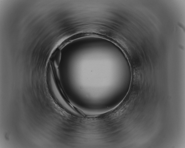 X0000091901020200709051359