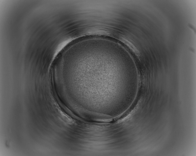X0000091901022200709051359