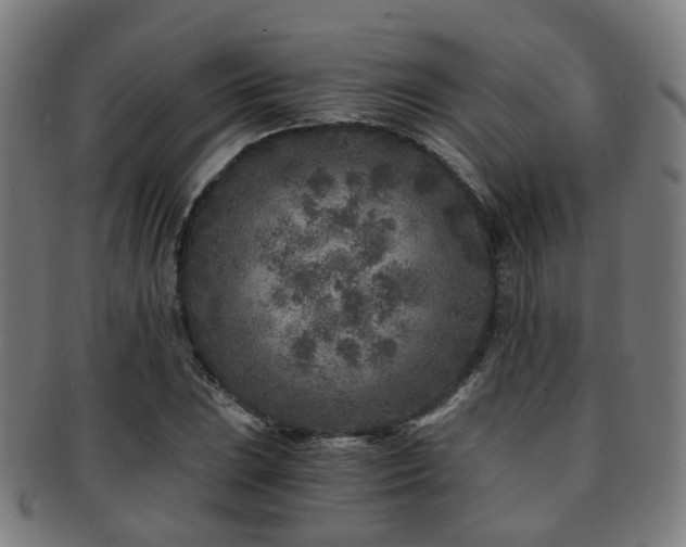 X0000091901023200709051359