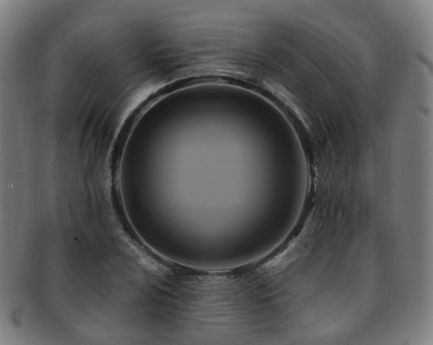 X0000091901024200709051359