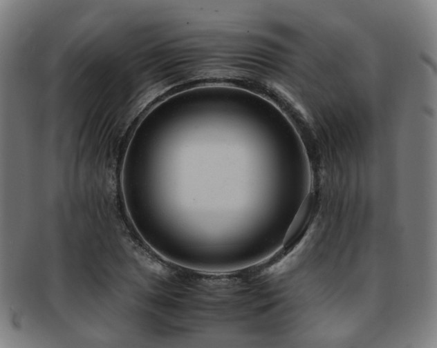 X0000091901025200709051359