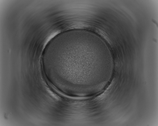 X0000091901026200709051359