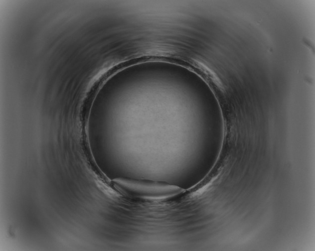 X0000091901027200709051359