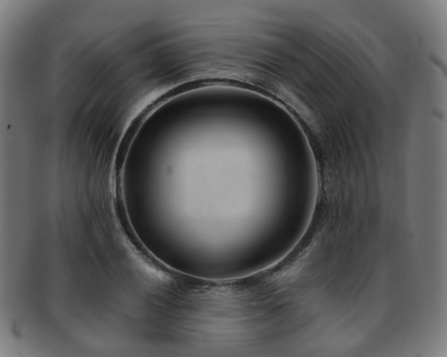 X0000091901028200709051359