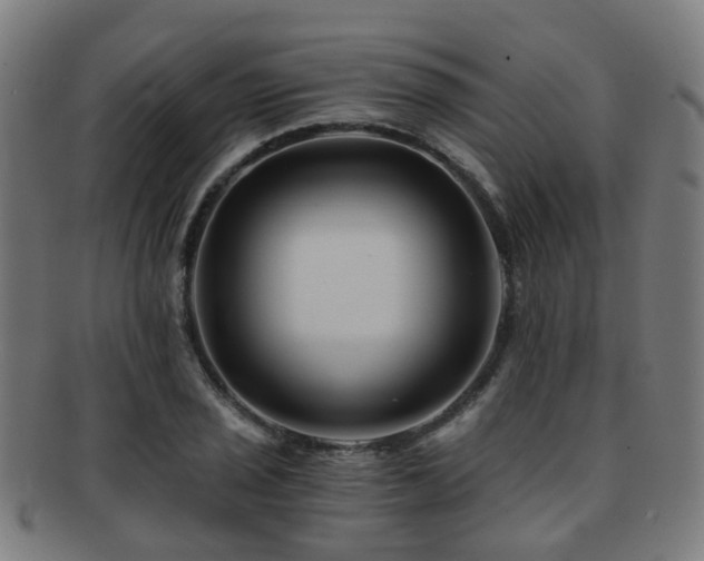 X0000091901029200709051359