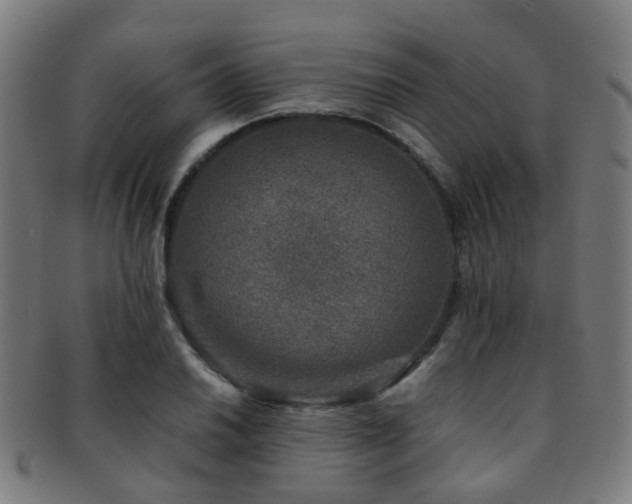 X0000091901030200709051359
