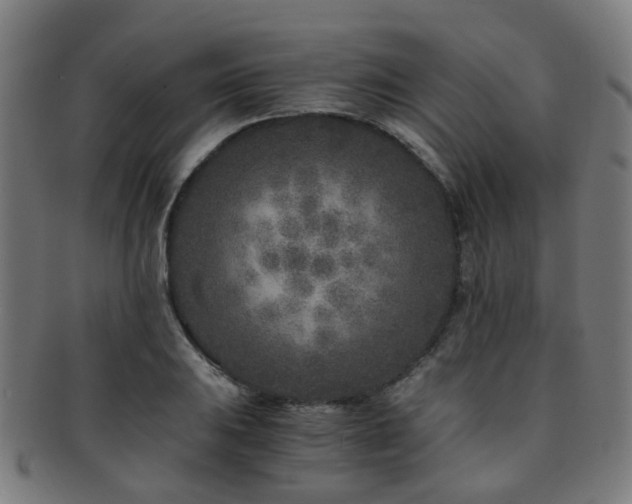 X0000091901031200709051359