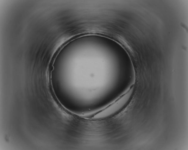X0000091901032200709051359