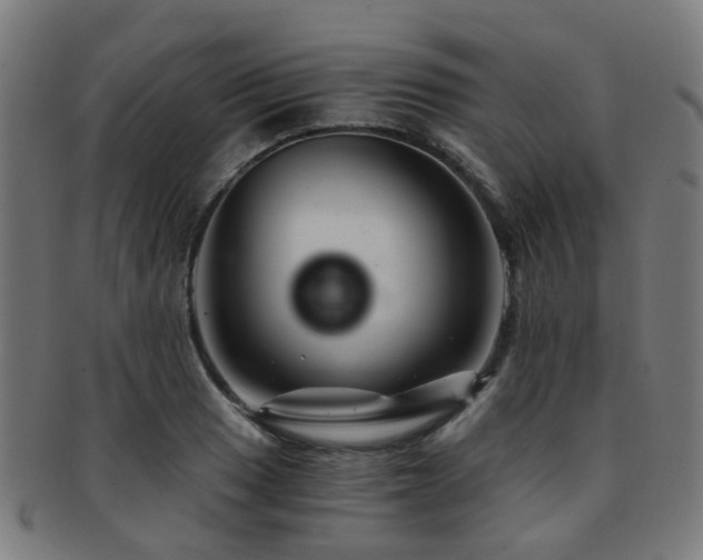 X0000091901033200709051359