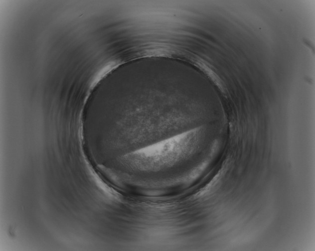 X0000091901034200709051359