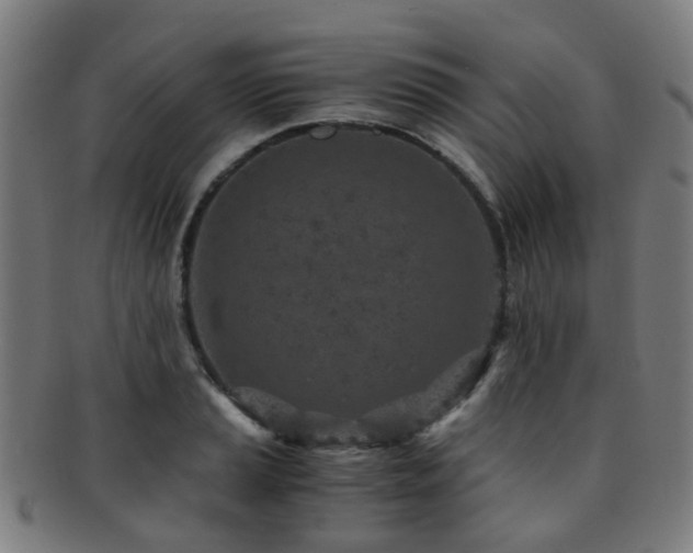 X0000091901037200709051359