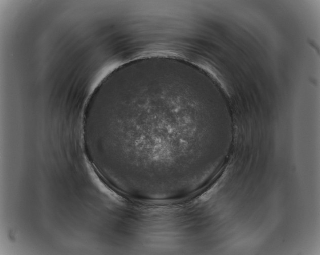 X0000091901038200709051359