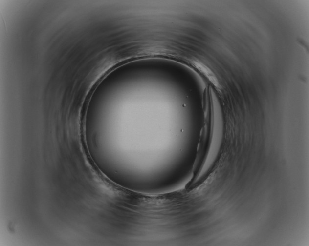 X0000091901039200709051359