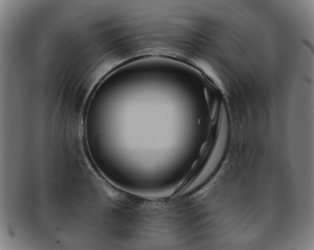X0000091901040200709051359