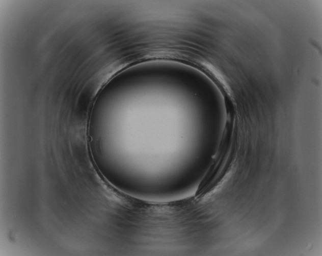 X0000091901041200709051359