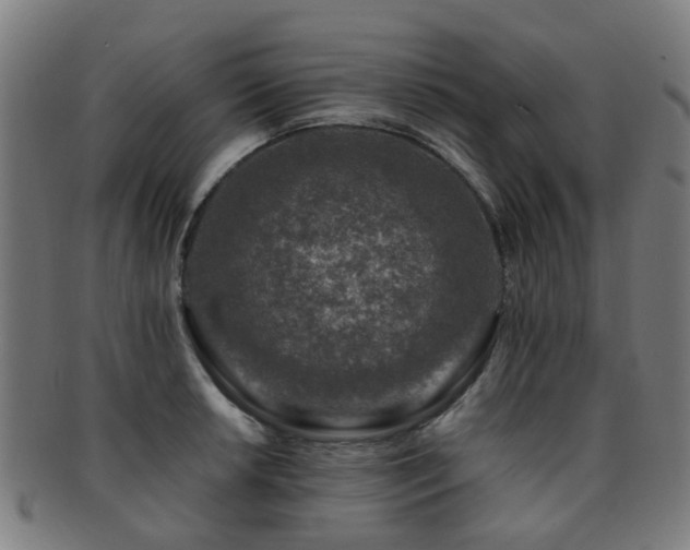 X0000091901042200709051359