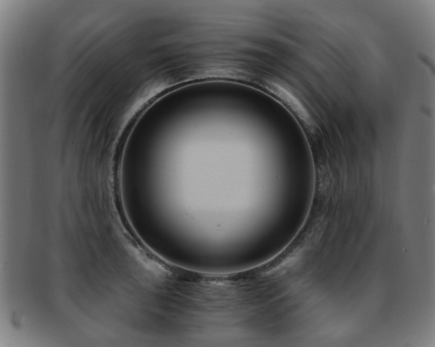 X0000091901043200709051359