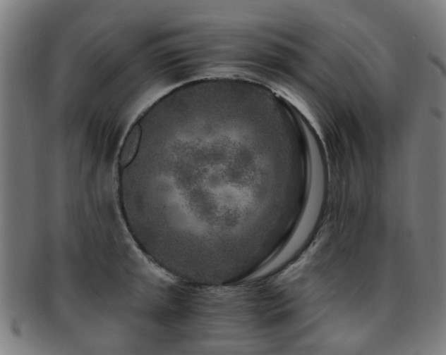 X0000091901045200709051359