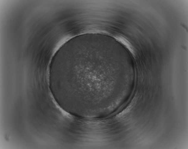X0000091901046200709051359