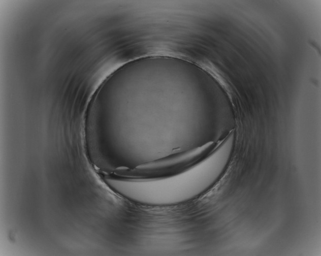 X0000091901048200709051359