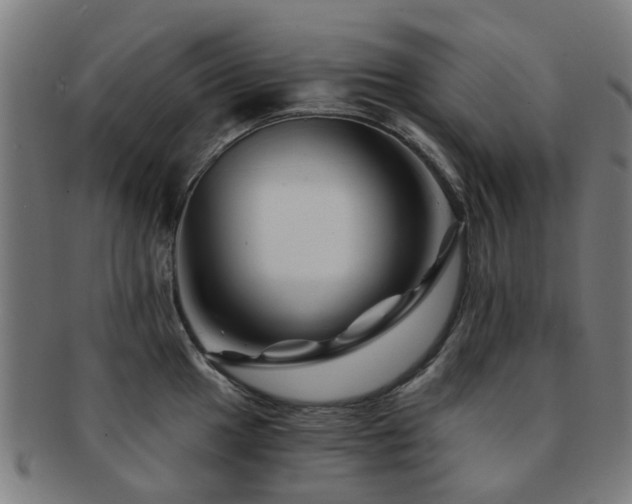 X0000091901049200709051359