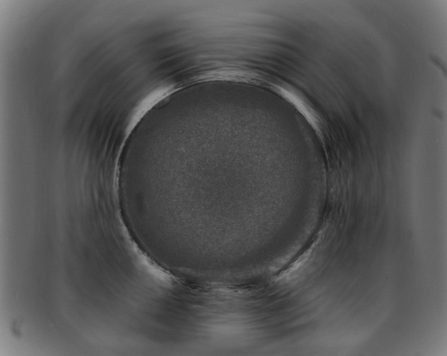 X0000091901050200709051359