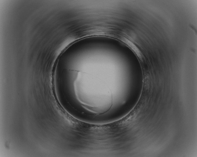 X0000091901051200709051359